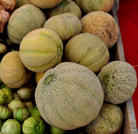 Icebox cantaloupe melons from Around The Table Farm at Wallingford Farmers Market. Copyright Zachary D. Lyons.