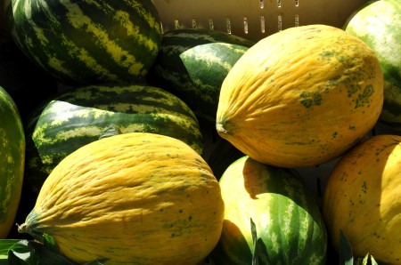 Ginormous melons from Lyall Farms at Wallingford Farmers Market. Copyright Zachary D. Lyons.