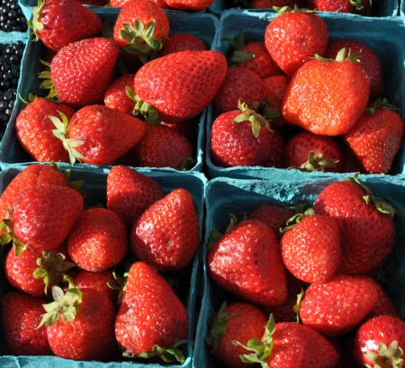 Everbearing strawberries from Sidhu Farms at Wallingford Farmers Market. Copyright Zachary D. Lyons.