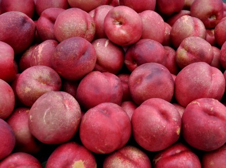 Nectarplums from Collins Family Orchards at Wallingford Farmers Market. Copyright Zachary D. Lyons.